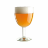 Belgian Tripel | Brewferm