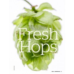 Nº8 Fresh Hops | Revista Craft Beer & Brewing