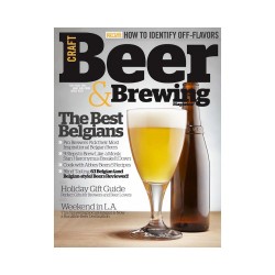 Nº9 The Best Belgians | Revista Craft Beer & Brewing