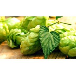 Sabro 14.9%
