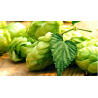 Nectaron 11.7%