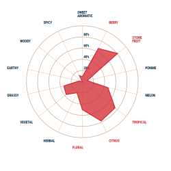 Nectaron 11.7%