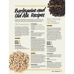 Nº10 BigBeers | Revista Craft Beer & Brewing
