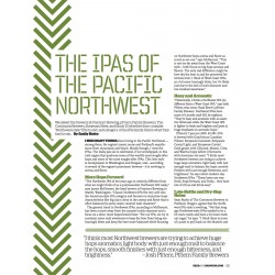 Nº11 usIPA | Revista Craft Beer & Brewing