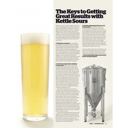 Nº 12 The Art of Tart | Revista Craft Beer & Brewing