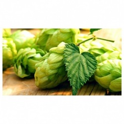 Simcoe 14.8 %